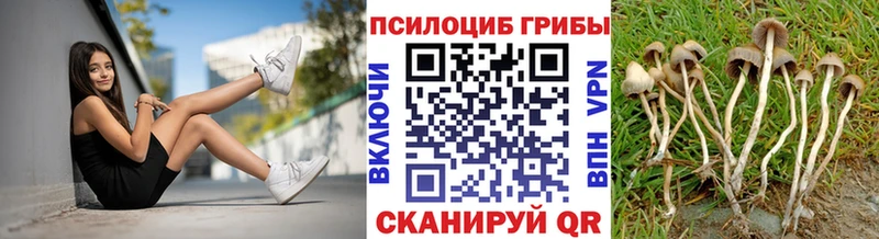shop телеграм  Верхотурье  Галлюциногенные грибы мухоморы 